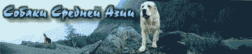 Форум Собаки Средней азии